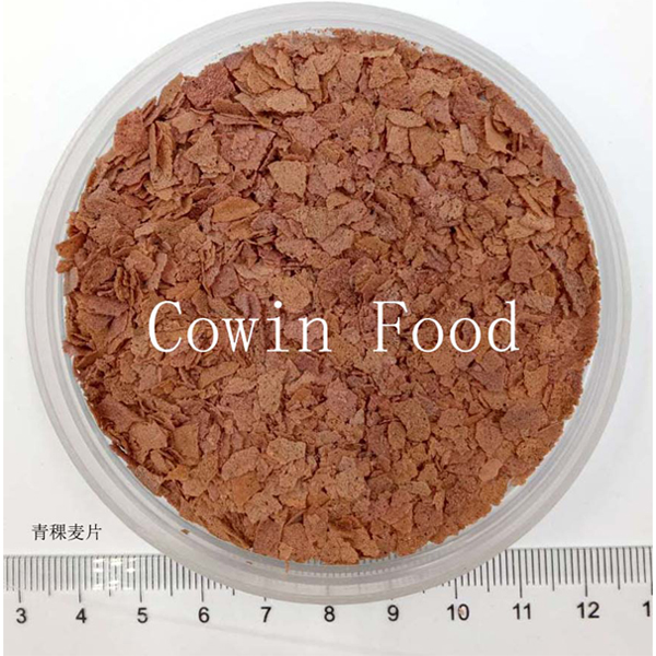 青稞麥片